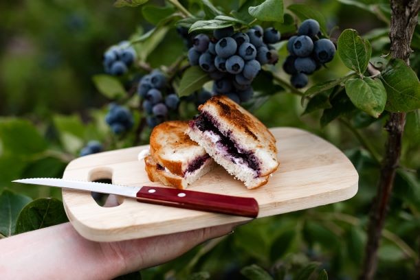 Blueberry, Balsamic + Goat Cheese Grilled Cheese