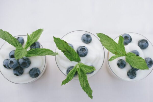 Klaassen-Blueberries-2019-133-1024x684