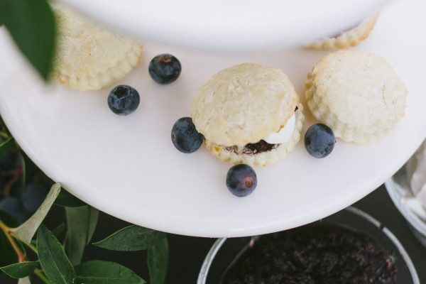 Klaassen-Blueberries-2019-142-scaled