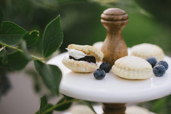 Klaassen-Blueberries-2019-143-2048x1367