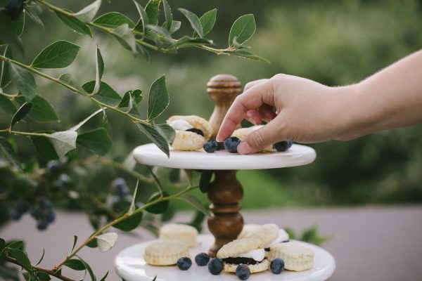 Klaassen-Blueberries-2019-144-2048x1367