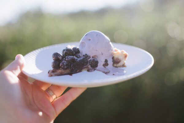 Klaassen-Blueberries-2019-170-2048x1367