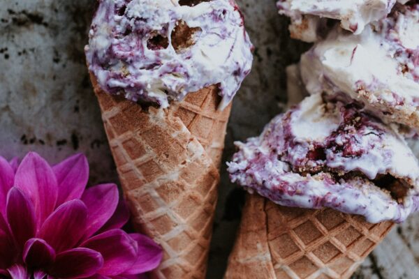 TFV_BlueberryIceCream_Recipe (5 of 19)