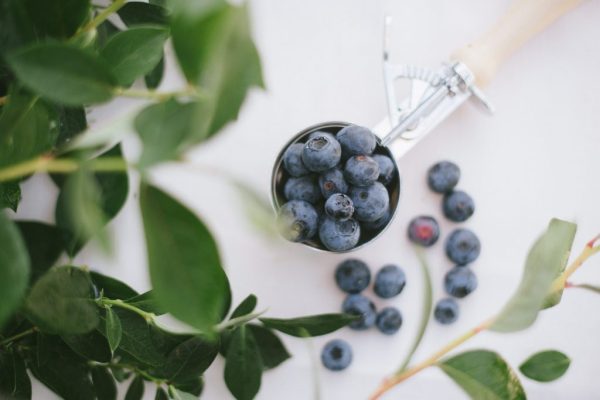 berryscoop
