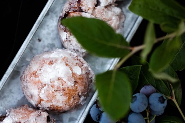 blueberrydoughnut1 blueberrydoughnut1