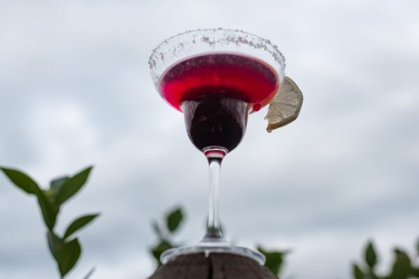 blueberrylemonfizz4