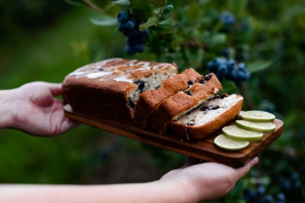 blueberryloaf4 blueberryloaf4
