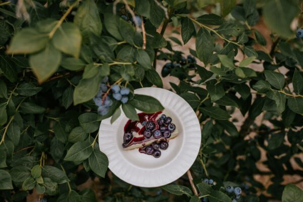blueberrymatcha4 blueberrymatcha4