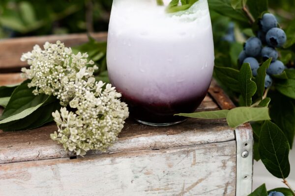 blueberrymojito2