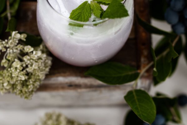 blueberrymojito3