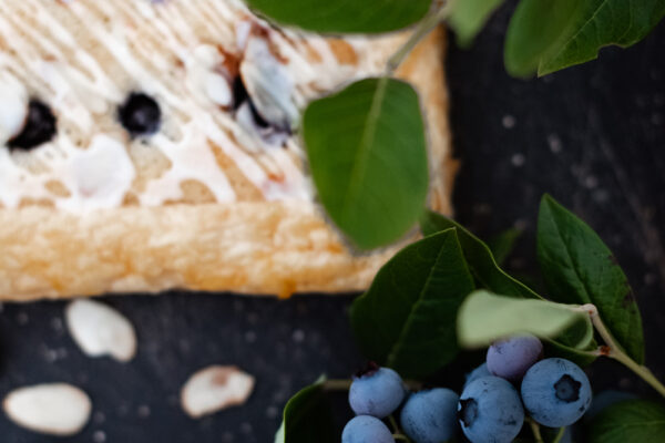 blueberrytart2 blueberrytart2