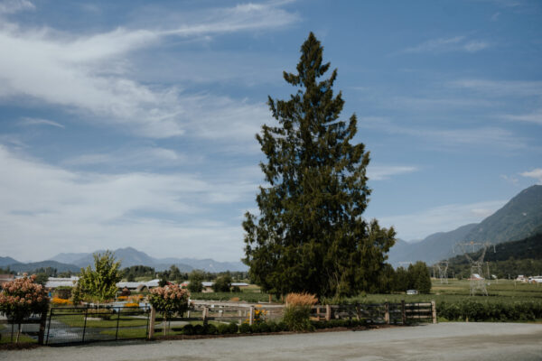MadisonCaptures-KlaassenFarms-2