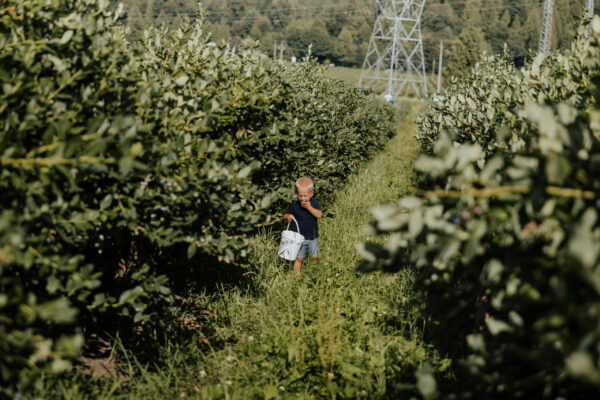 MadisonCaptures-KlaassenFarms-50